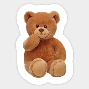 baby bear Sticker